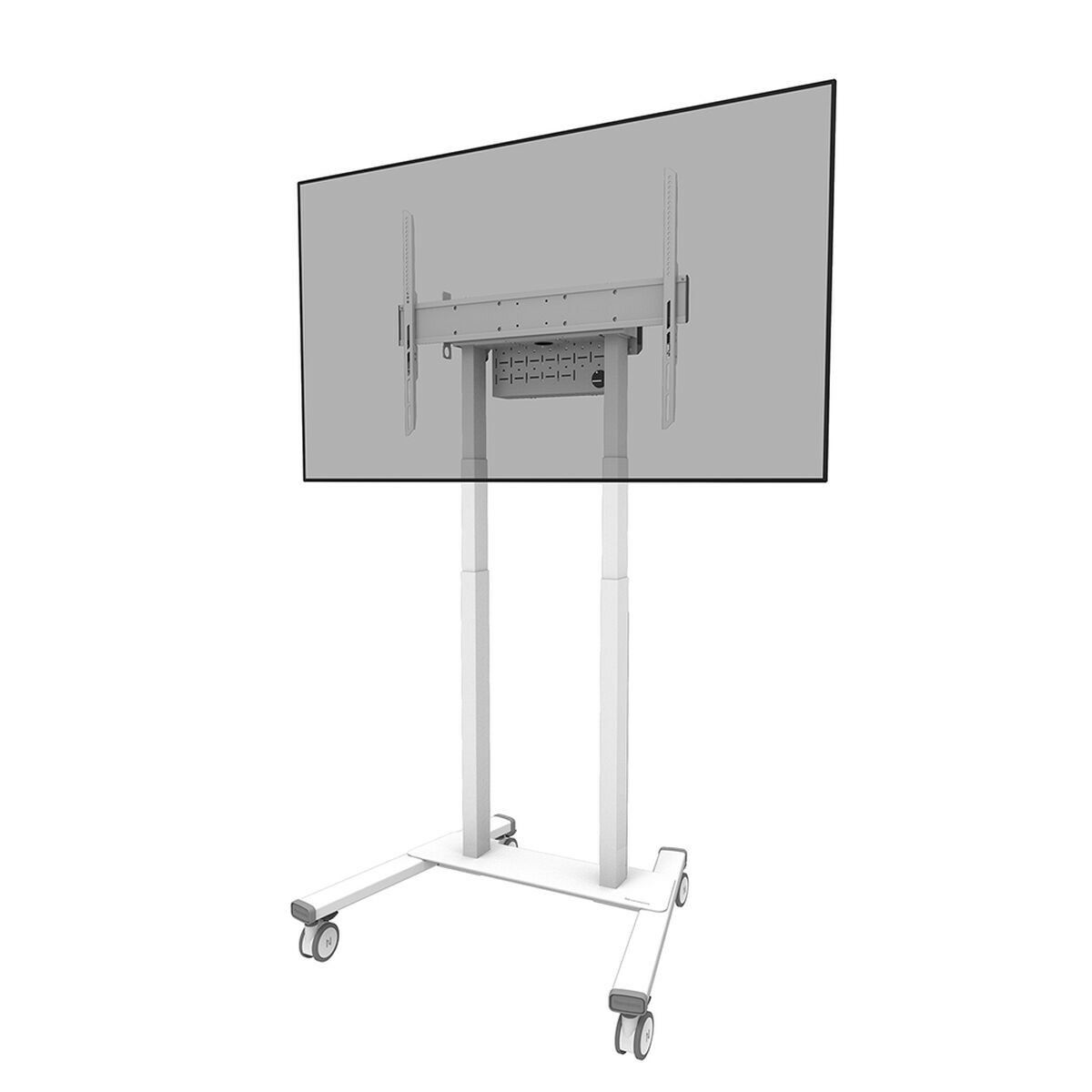 Nosilec za TV Neomounts FL55-875WH1